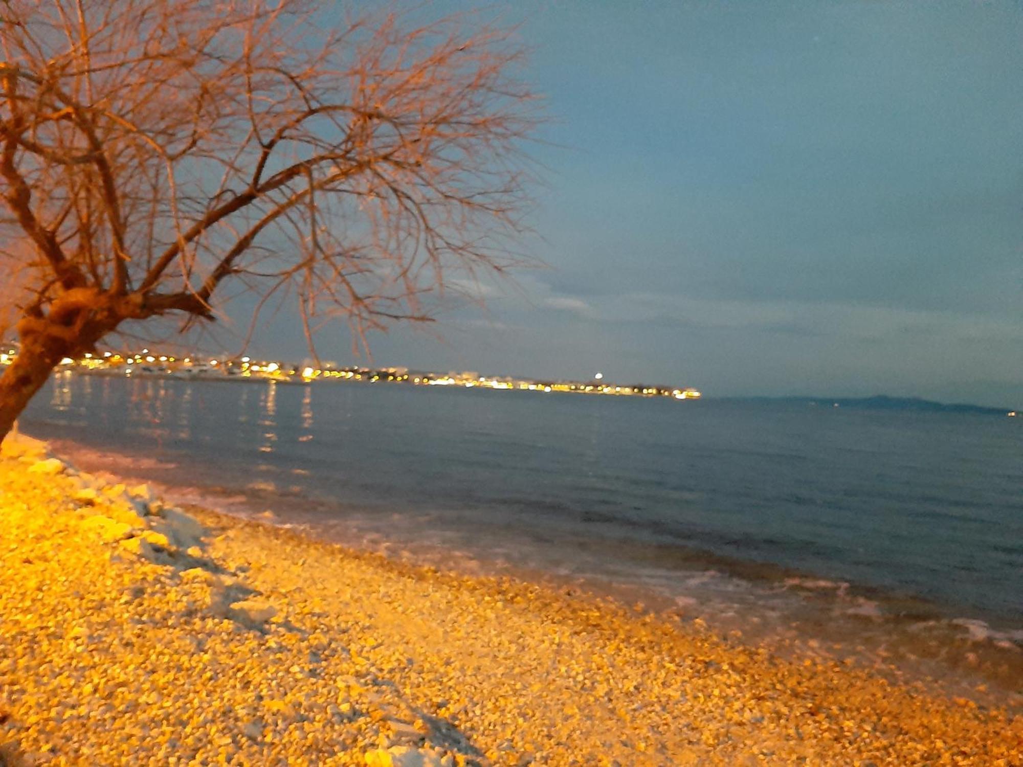 Villa Aurelia Zadar Exteriör bild